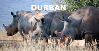 About our Durban Service